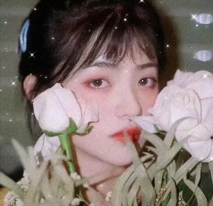 花园里的萤火虫